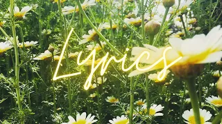 Ronan Ace - Two Butterflies In Spring (Official Lyric Video)