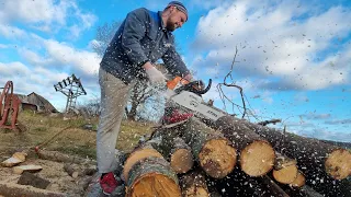 САМАЯ ЛУЧШАЯ БЕНЗОПИЛА STIHL MS 260, КОТОРОЙ Я РАБОТАЛ