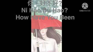 你，好不好?  Ni Hao Bu Hao?  How Have You Been Lyrics with English and Pinyin