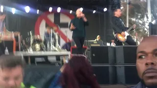 Bad Religion Fuck You Sabroso Taco Festival 2019