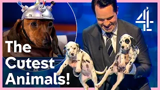 The Most ADORABLE Yet Chaotic Mascots | 8 Out Of 10 Cats Does Countdown | Channel 4