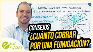 Descubre Cuánto Cobrar por una Fumigación