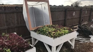 Easy harvest hinged hoop houses for raised beds