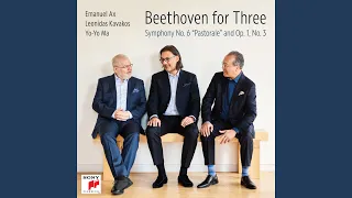 Piano Trio No. 3 in C Minor, Op. 1, No. 3: III. Menuetto. Quasi allegro