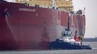 8 VERY BIG VESSELS ARRIVALS AND DEPARTURES AND ROTTERDAM PORT - 4K SHIPSPOTTING JANUARY 2024