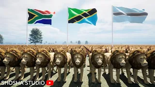 Lion population by country 2023