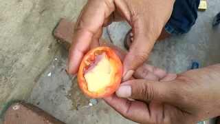 How To Cook An Egg Omelette In A Tomato/Rare Recipe Wild Survival