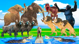 10 dinosaurs attack 10 cows Jersey buffalo hyena is saved by gorillas