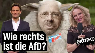 AfD-Erfolg in Brandenburg und Sachsen | extra 3 | NDR