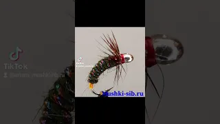 Домик ручейника-скрутка 🐠Mushki-sib.ru