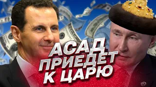 💵 Сирия вернет оружие России разве что за деньги | Курносова