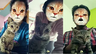 FUNNY CATS SCARED AF OF CAT FACE FILTER | EPIC REACTION 🤣