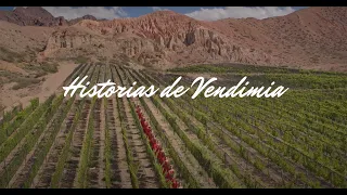 Historias de Vendimia (trailer) #Vendimia2021