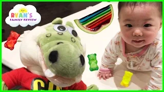 Kids playtime with twin babies and GUS the gummy gator eating Rainbow Gummy Jello!