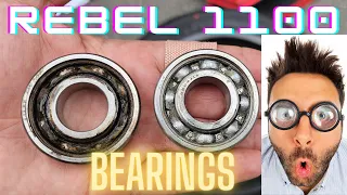 Rebel 1100 Wheel bearings replacement