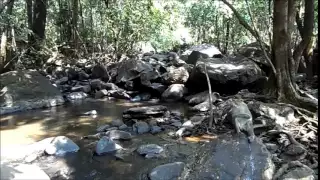 Водопад Дудхсагар.