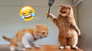 Best Funny Animals 2024 🤣 Funniest Dogs and Cats 😻🐶 Part 3