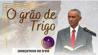 Pr. JOSÉ CARLOS DE LIMA | O GRÃO DE TRIGO.