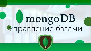 MongoDB #12 Управление базами и коллекциями (Managing DBs & Collections)