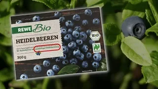 Das macht Wildheidelbeeren so gesund