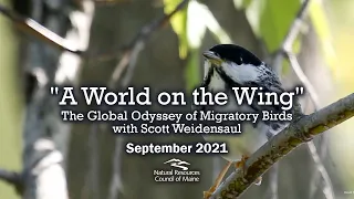 "A World on the Wing: The Global Odyssey of Migratory Birds" with Scott Weidensaul