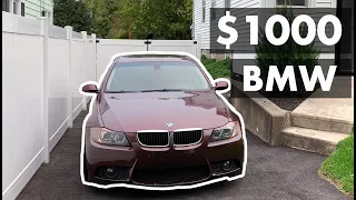 Why I daily drive a $1000 BMW Car