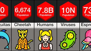 Comparison: Animal Populations