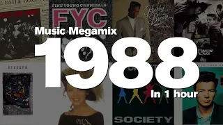 1988 Megamix  1 Hour of Top Hits Roxette, Fine Young Cannibals, Bobby Brown and many more!