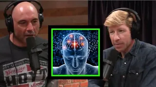 Joe Rogan : Why we can't remember our dreams?