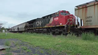 CN B730