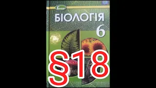 Параграф 18 "Бактерій. Роль у природі та житті людини."//Шкільна програма 6 клас.