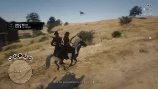 Horse falls from sky