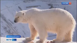 ЭФИР 21:00 ВЕСТИ САХА 26/02/21 НА РУССКОМ ЯЗЫКЕ