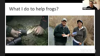 Explorer Classroom | Frog Conservation with Anny Peralta-García