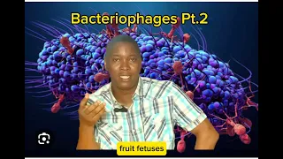 Bacteriophage 2  Pidgin