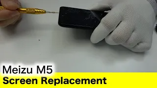 Meizu M5 Screen Replacement