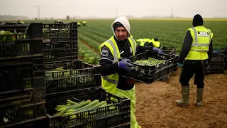 A year since Brexit: How bad are the UK's labour shortages now?