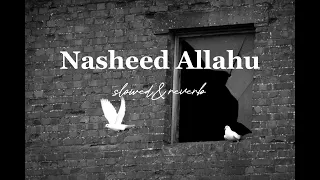 Nasheed Allahu || slowed and reverb