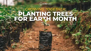 Earth Month 2024 | One Tree Planted