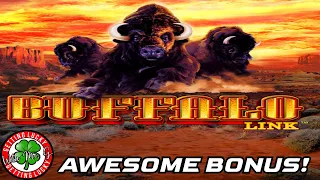 Buffalo Link Slots.... GREAT BONUS GAME!