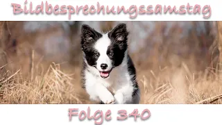 Bildbesprechung 340