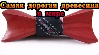 ТОП 10: САМАЯ ДОРОГАЯ ДРЕВЕСИНА В МИРЕ