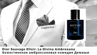 Dior Sauvage Elixir: La Divina Ambroxana - Божественная амброксановая комедия Демаши