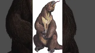 Giant Ground Sloths, Are They Still Alive Today?