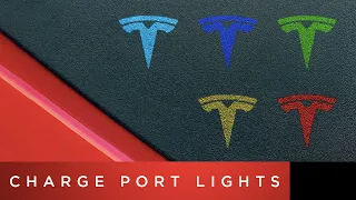 Tesla Model 3 Quick Video | Charge Port Lights
