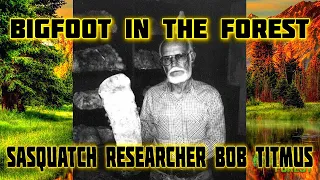 BIGFOOT IN THE FOREST - SASQUATCH RESEARCHER BOB TITMUS