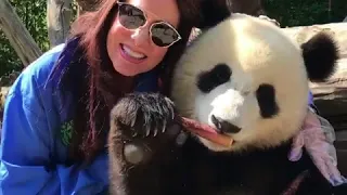 2018 China ChengDu Panda Hug