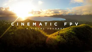 Cinematic FPV | A Visual Journey