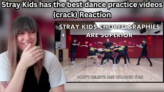 Stray Kids has the best dance practice videos (crack)