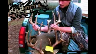 Whitetail Action "The Brow Tine Buck" vintage gun footage